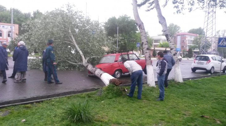 Разгул стихии в Ташкенте. Покореженные машины, потоп и упавшие деревья.  Фотолента  