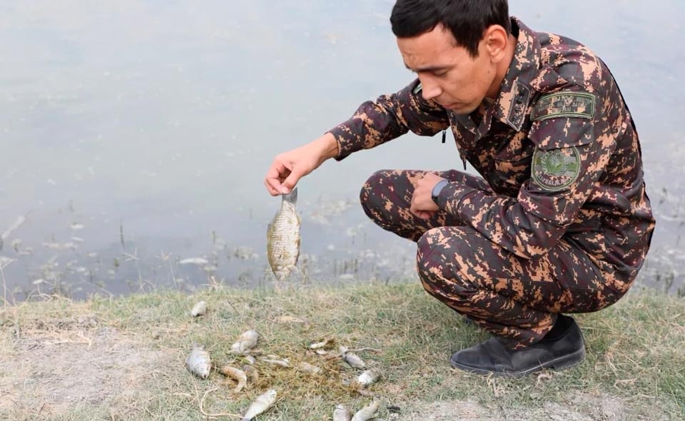 В "Навоиазот" заявили, что не сливали химикаты в реку Зарафшан, обвинив в этом другие предприятия и рыбные хозяйства 