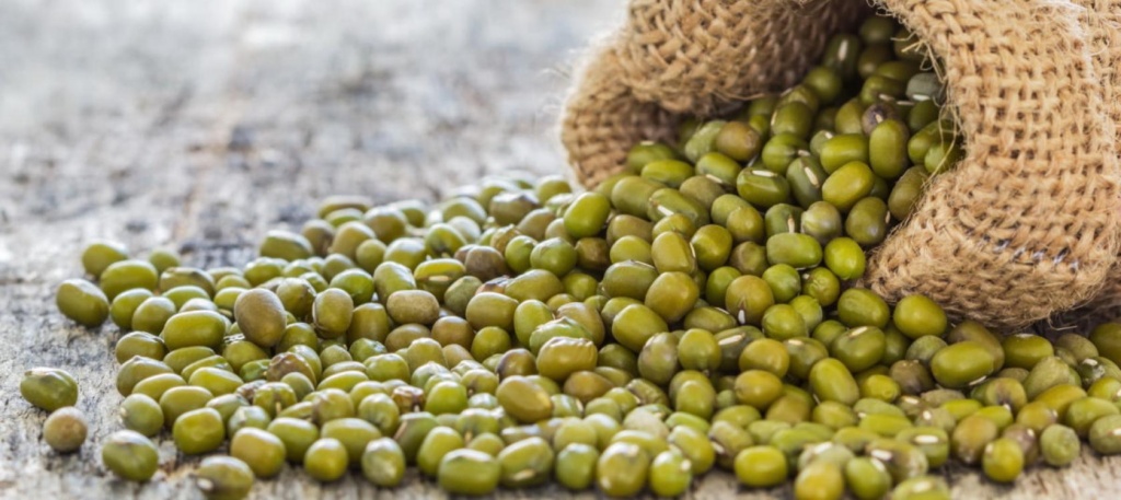 "Золото для веганов". Узбекистан за полгода экспортировал в Нидерланды 714 тонн маша