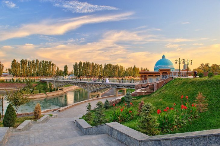 Вместо одного срубленного десять новых: в Ташкенте принят новый приказ по охране деревьев 