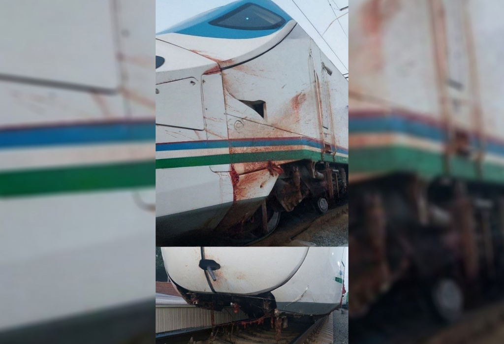 Высокоскоростной поезд "Афросиаб", направлявшийся из Бухары в Ташкент, сбил 18 овец
