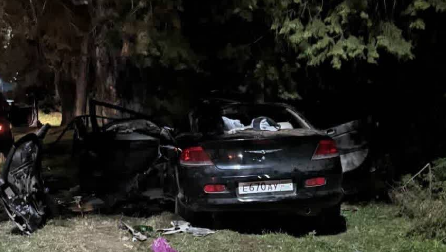 Трое узбекистанцев погибли при аварии в Абхазии