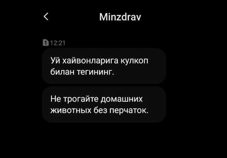 Глава Агентства санитарно-эпидемиологического благополучия объяснил странные SMS с призывом "прикасаться к животным только в перчатках"