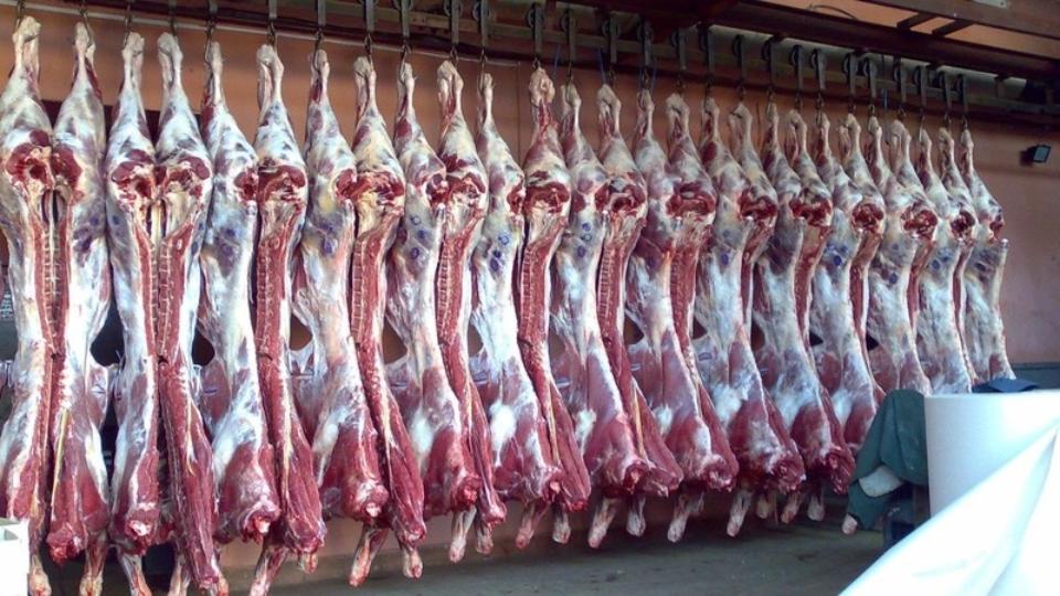 Монголия предложила нарастить поставки мяса в Узбекистан авиачартерами  