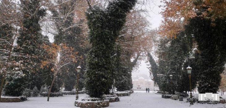 Снег в ноябре для Узбекистана не редкость – Узгидромет
