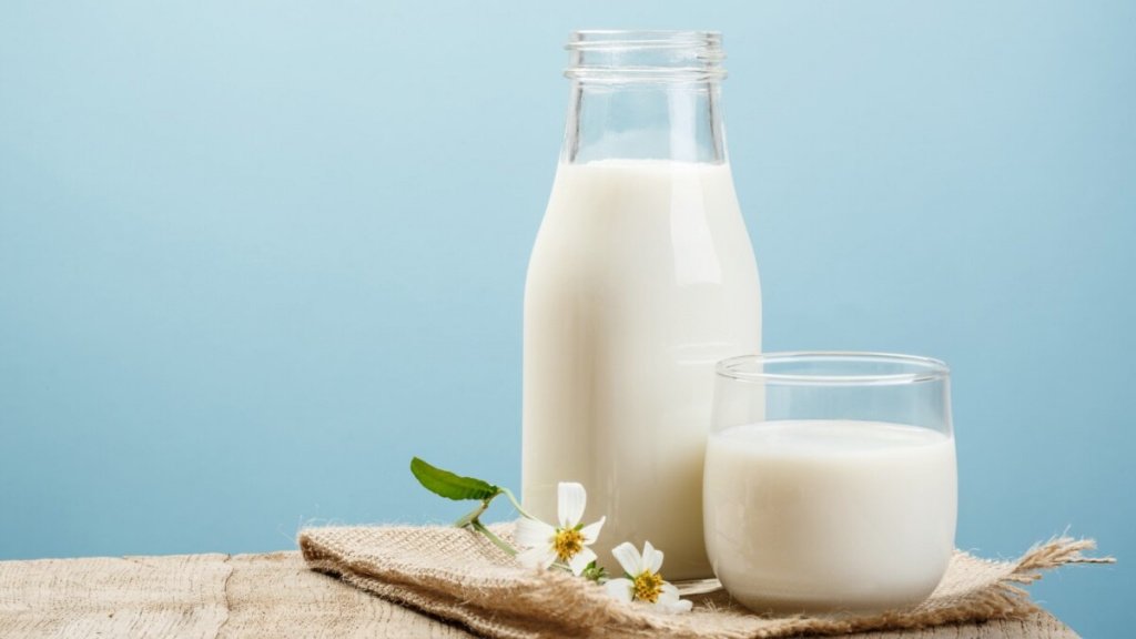 Мининноваций и компания PanaevFarms заключили договор для производства молока от коронавируса  