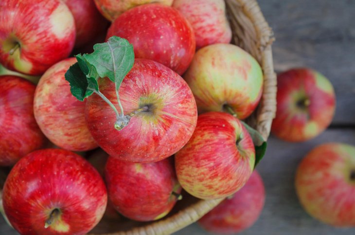 Кыргызские яблоки резко обвалили цены на рынке Узбекистана