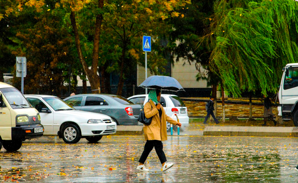 Экстренное сообщение от Узгидромета. В Узбекистан идут дожди и похолодание 