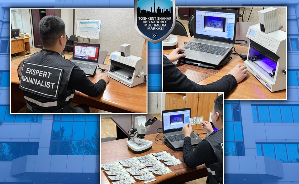 В Ташкенте разыскивают фальшивомонетчика, который приобрел 12 баранов за 2200 поддельных долларов 