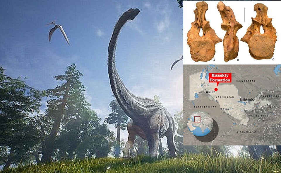 В Узбекистане обнаружили уникальный вид динозавра. Он был в два раза больше двухэтажного автобуса