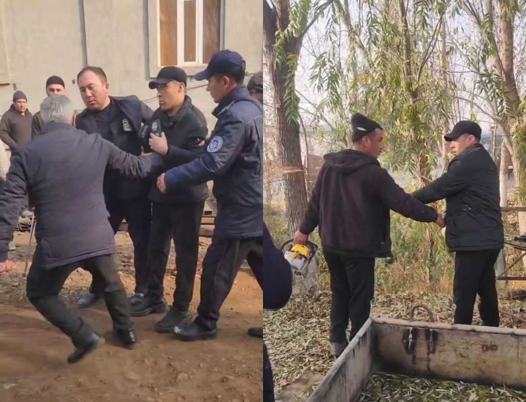 В Ферганской области заместитель хокима напал на экоинспектора, который пытался остановить незаконную вырубку. Видео