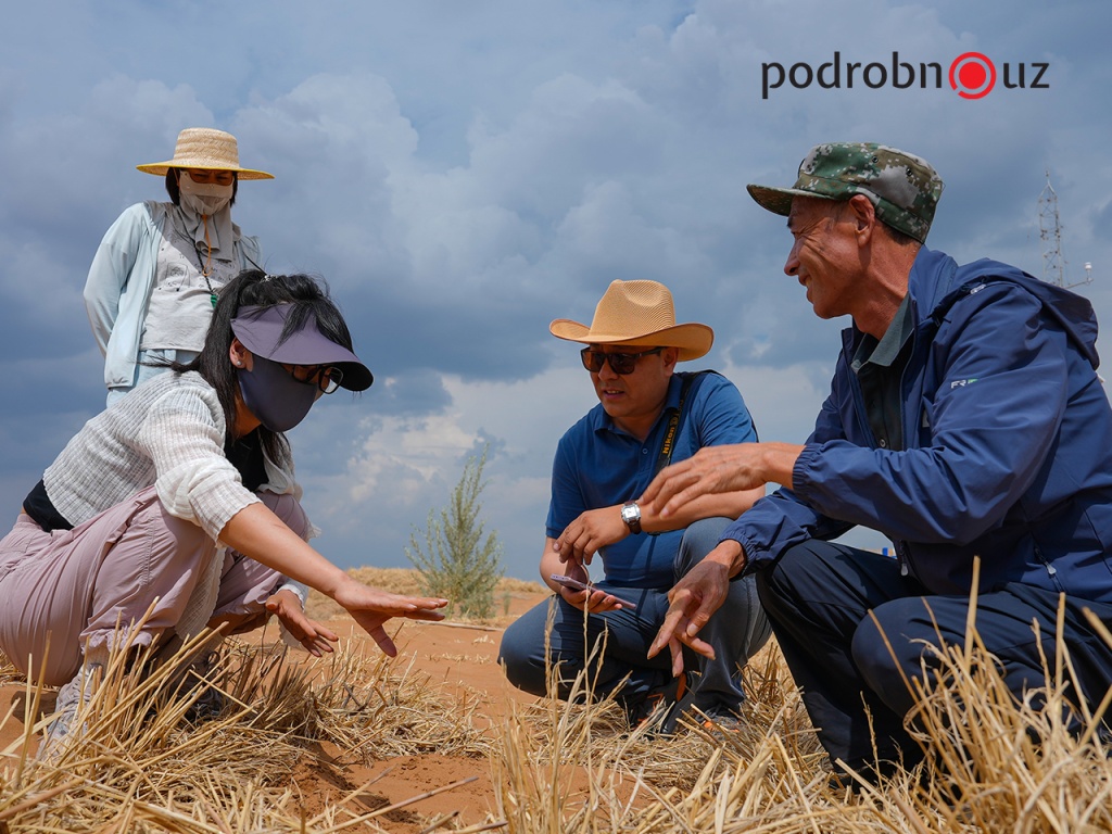 Когда пустыня становится шансом. Как Китай превращает пески в источник жизни и развития