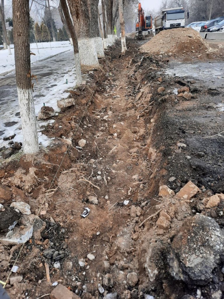 Зеленый Ташкент продолжает исчезать. Пользователи сообщают о строительных работах в центре города, где уничтожаются корни деревьев 