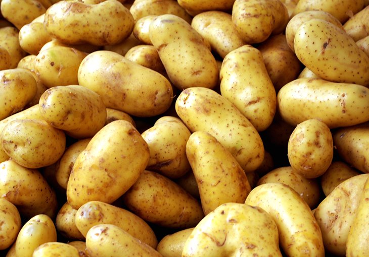В Узбекистане впервые отметят День картофеля и запустят завод по изготовлению картофеля фри