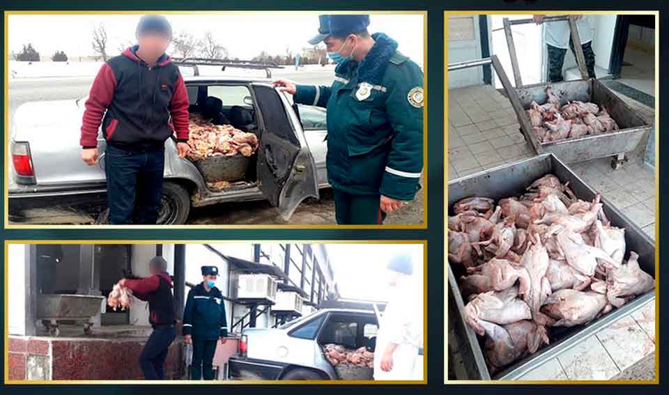 Правоохранители задержали партию куриного мяса, которое перевозили прямо в салоне легкового авто 
