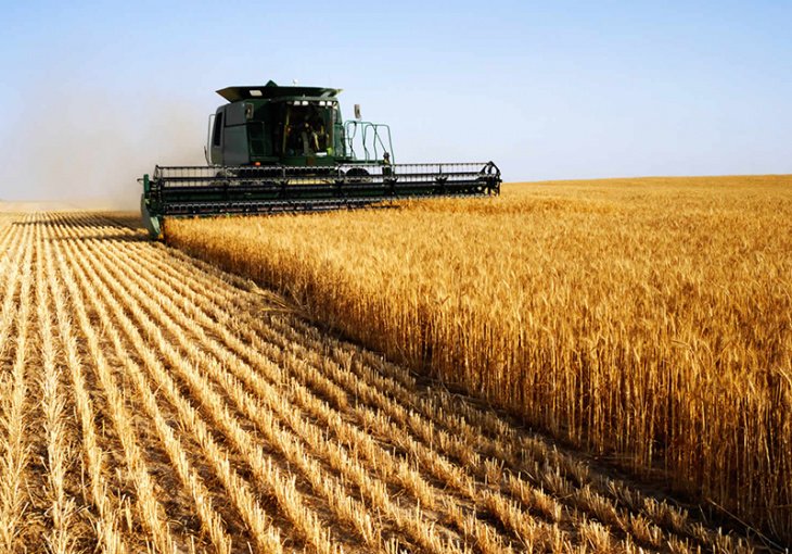 Пока сложно сказать, выиграет или проиграет сельское хозяйство от вступления Узбекистана в ВТО – эксперт  