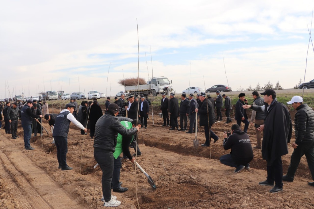 В Узбекистане лидером проекта "Яшил макон" в 2024 году стала Кашкадарья