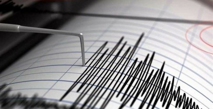 В Узбекистане во время послания Мирзиёева ощутили землетрясение 