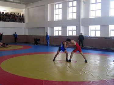 Победители чемпионата Узбекистана по греко-римской и вольной борьбе поступят в вузы по льготе 