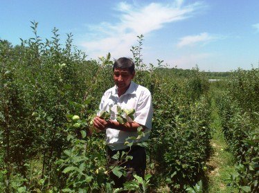 В Узбекистане фермерам предоставят ряд налоговых льгот