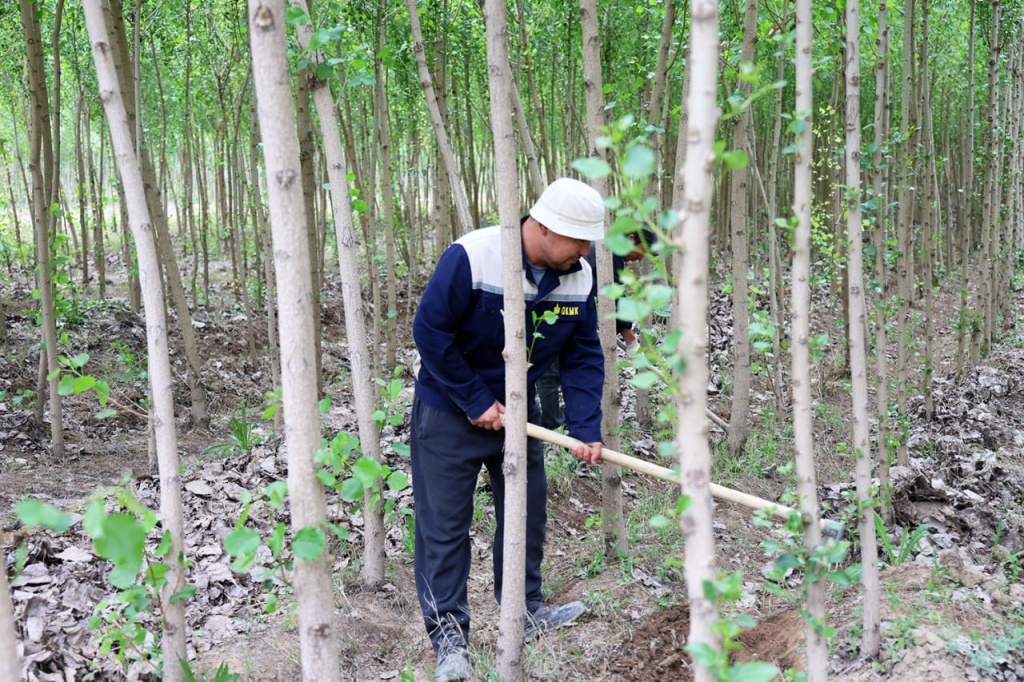 Алмалыкский ГМК прокомментировал результаты экологических проверок на предприятии