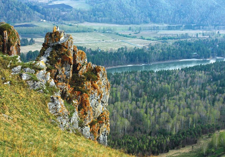 Алтайский край в этом году намерен принять более тысячи соотечественников