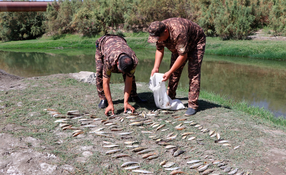 В реке Зарафшан произошла массовая гибель рыбы. Обнаружено превышение нормы азотной кислоты в водах, сбрасываемых с "Навоиазот"