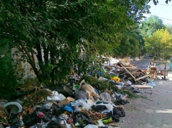 В Ташкенте придумывают новые способы борьбы с мусором  