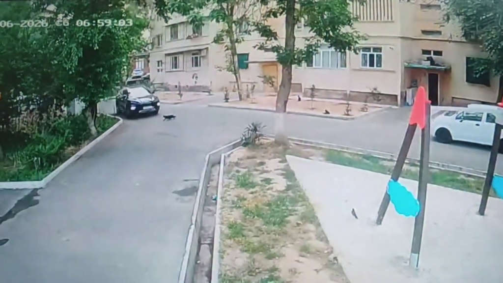 "Убивал и буду убивать". В Ташкенте наказали мужчину за наез