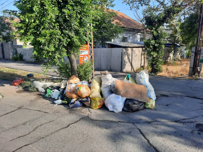 Неисправимые. В Ташкенте 10 человек более десяти раз заплатили штраф за выброс мусора в неположенных местах