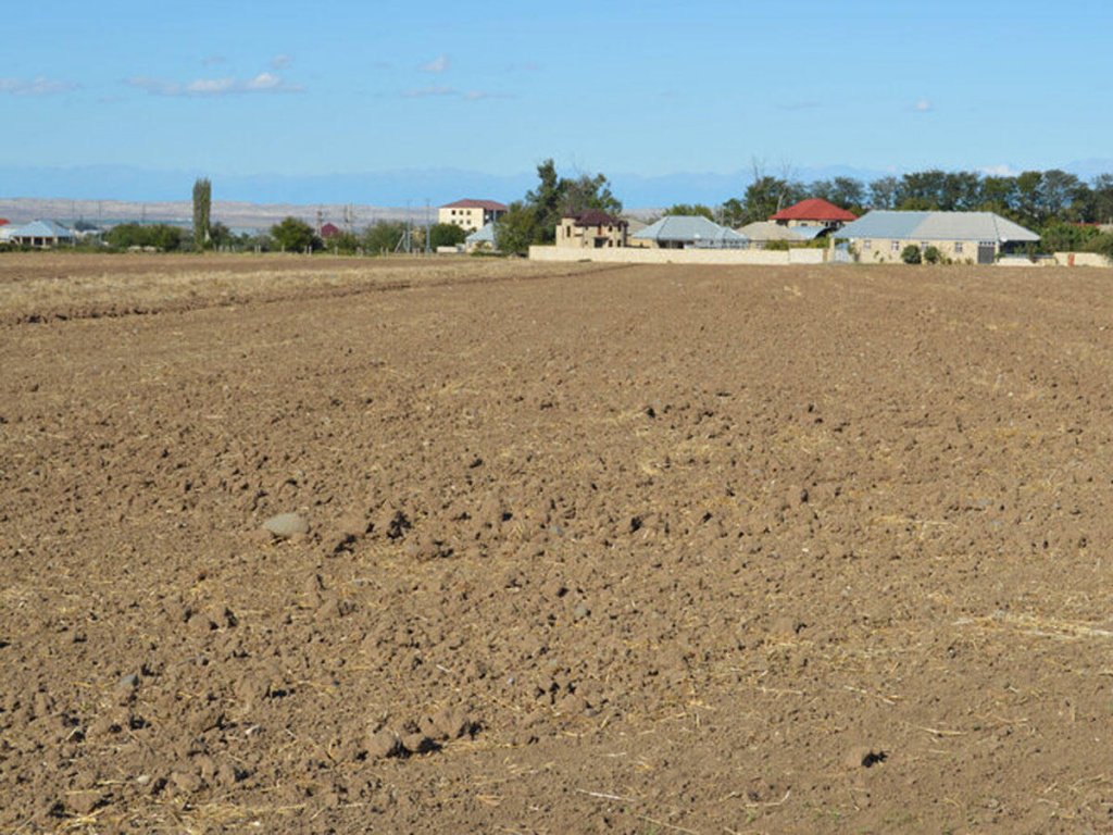В Узбекистане деградировано более 70% земельных площадей, ежегодные потери составляют 830 млн долларов