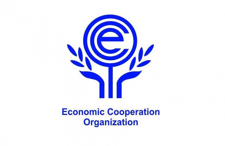 Узбекистан с визитом посетит генсек Организации экономического сотрудничества