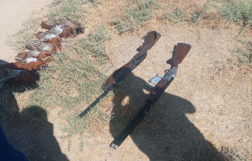 Двух жителей Самаркандской области задержали за незаконную охоту на фазанов