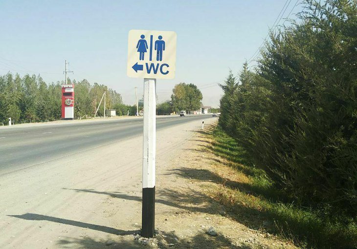 В Узбекистане запустят приложение для поиска туалетов 