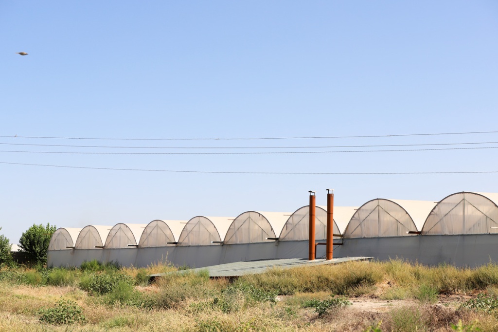 Для теплиц Ташкента и области готовят реформу системы газоснабжения