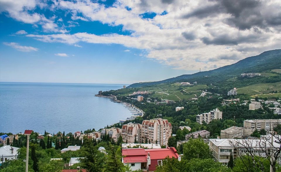 В Крыму выведут сорта киви, граната и фейхоа для выращивания в России