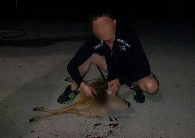 В Фергане появился очередной живодер. Мужчина выставил в соцсетях видео, как он убивает из ружья кошку и режет горло оленю  