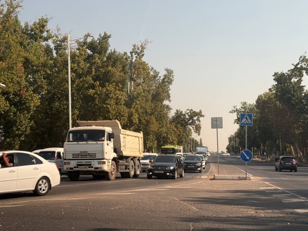 Солнечная и теплая. В Узгидромете рассказали о погоде на рабочую неделю