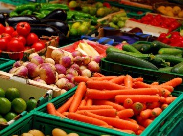 Оптовые базы «Узулгуржисавдоинвест» заготовят продовольствия на более чем 60 млрд сумов