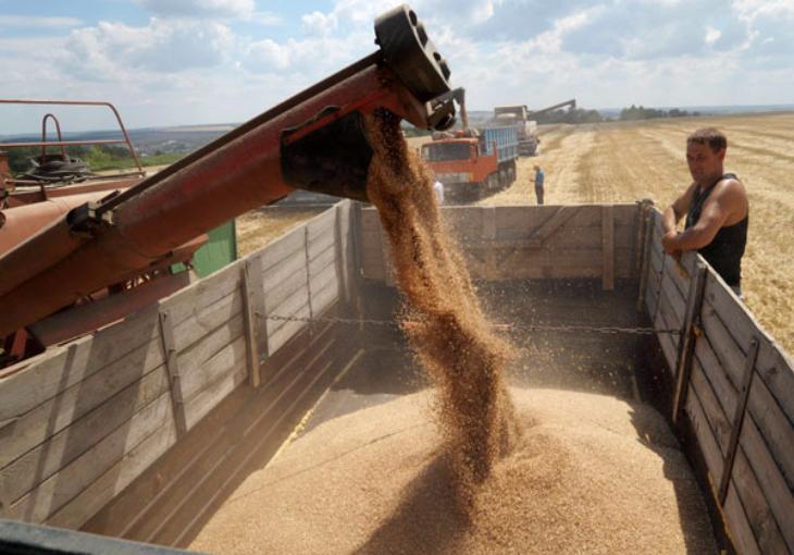 Афганистан закупит на экстренные нужды пшеницу из Узбекистана 
