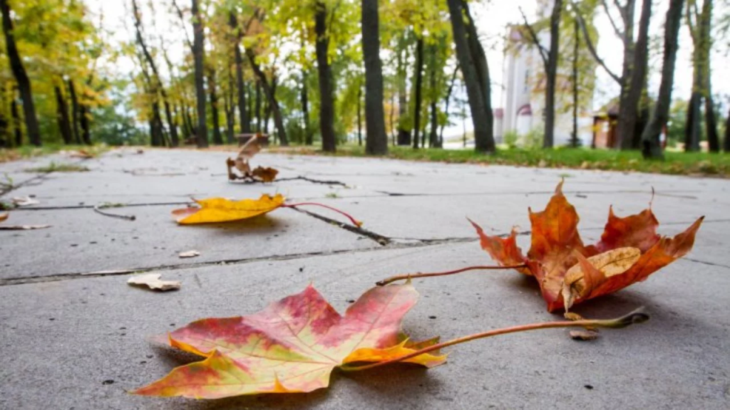 На новой рабочей неделе в Узбекистане сохранится теплая погода, ожидаются кратковременные дожди На новой рабочей неделе в Узбекистане сохранится теплая погода, ожидаются кратковременные дожди
