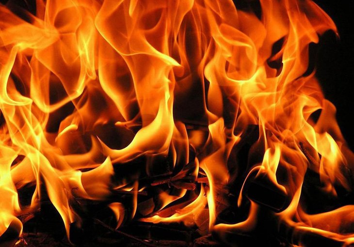 Семь граждан Узбекистана погибли при пожаре в ангаре в Ленинградской области