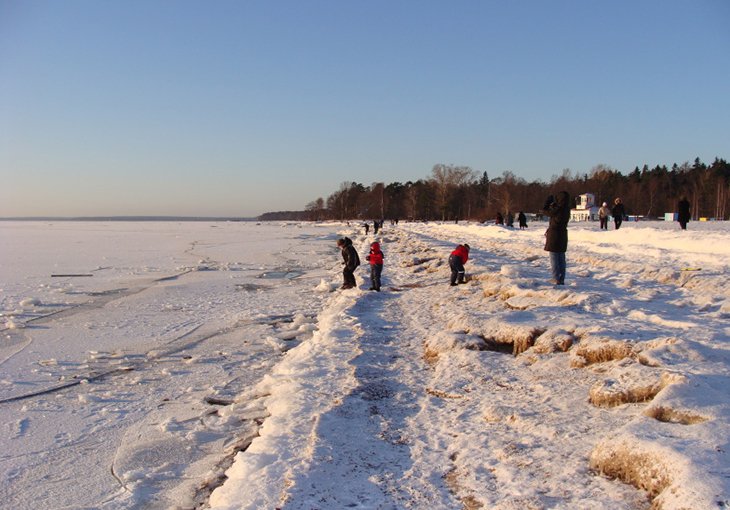 На берегу Финского залива замерзла насмерть гражданка Узбекистана