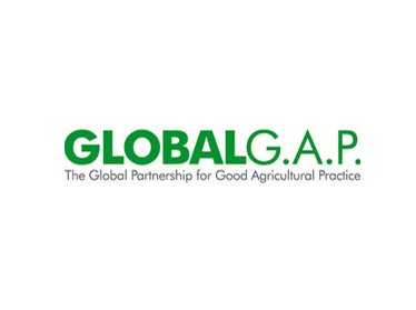 В Узбекистане внедряется международный стандарт GlobalGAP