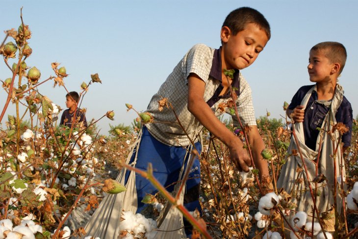 В Узбекистане усилили ответственность за принуждение к труду и использование труда несовершеннолетних 