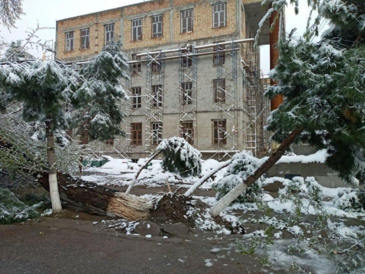 Сильный снегопад привел к обрывам линий электропередачи: жители многих районов остались без электричества