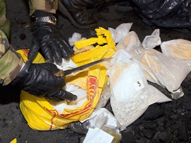  В Ташкенте силовики уничтожили свыше 1,2 тонны наркотиков  