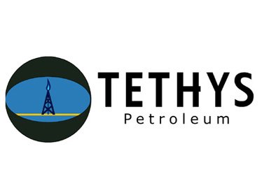 Tethys выходит из проектов в Узбекистане 