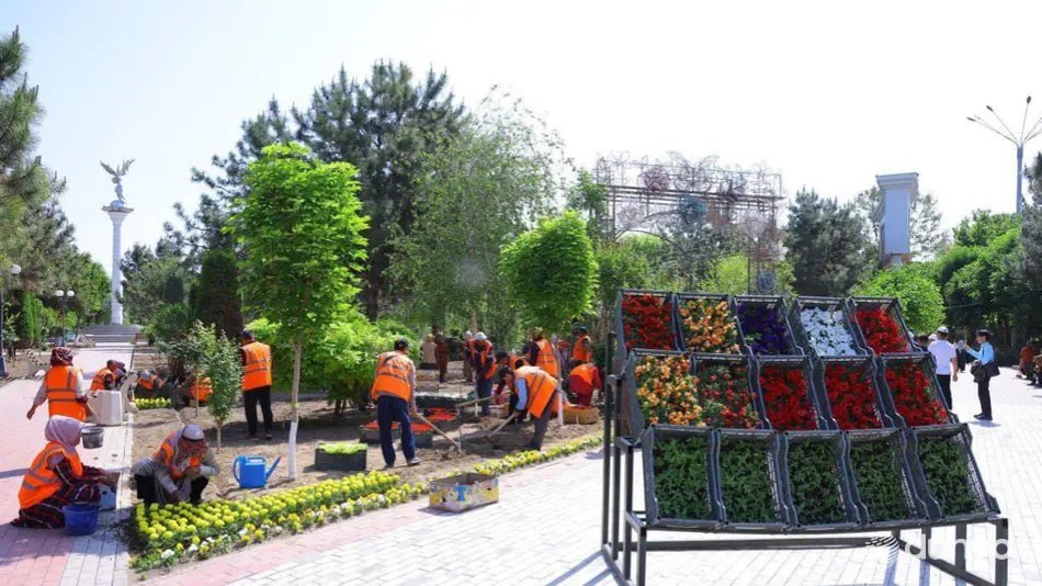 Наманган замахнулся на рекорд Гиннесса. В городе высадят 150 миллионов цветов