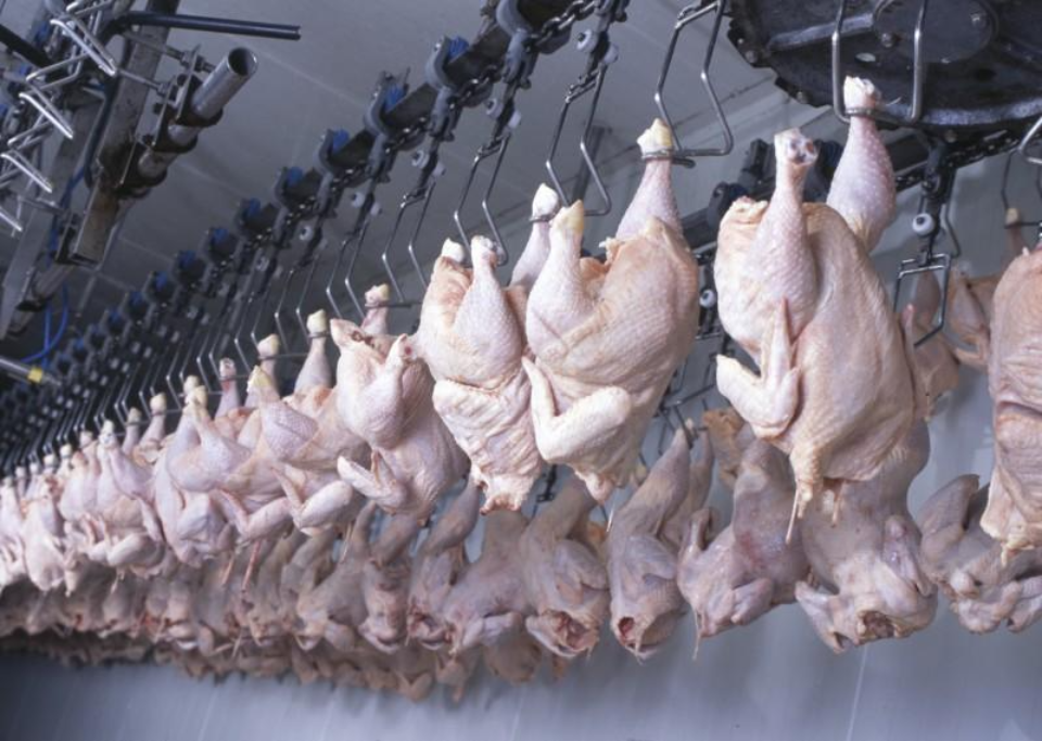 В Узбекистане увеличили размер субсидий, выделяемых производителям мяса птицы   